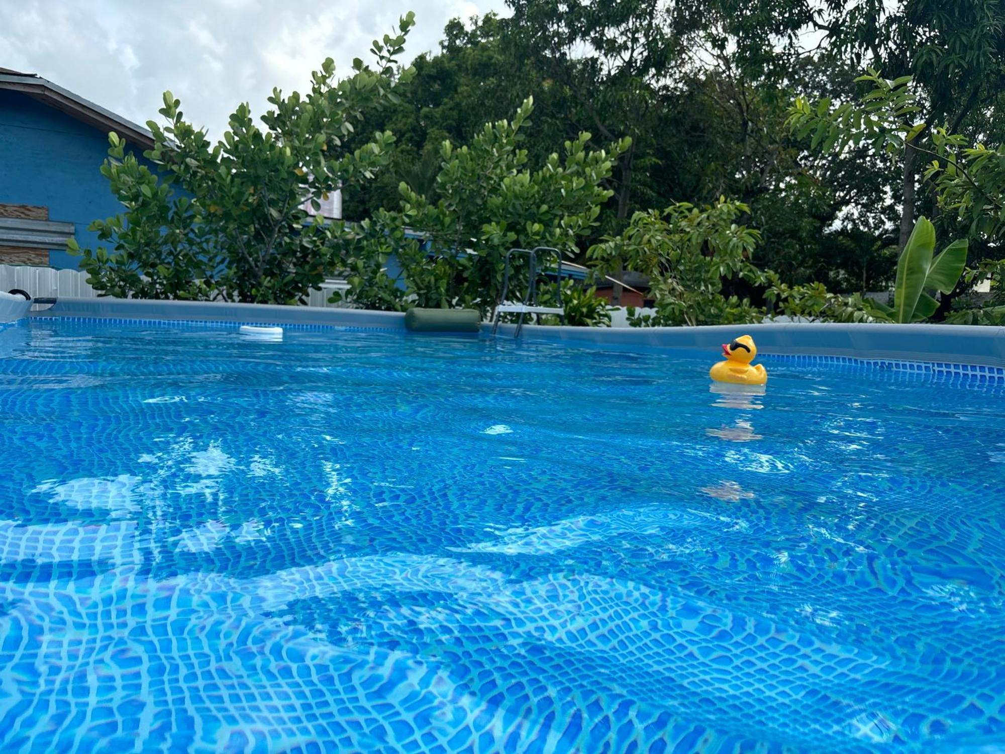 Hotel Mini House Oasis à Miami Springs Extérieur photo